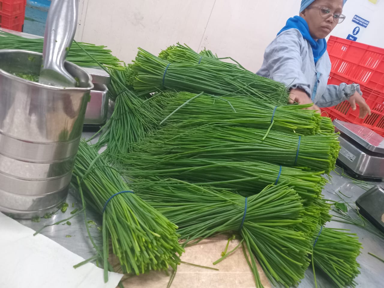 Organic Farming Project