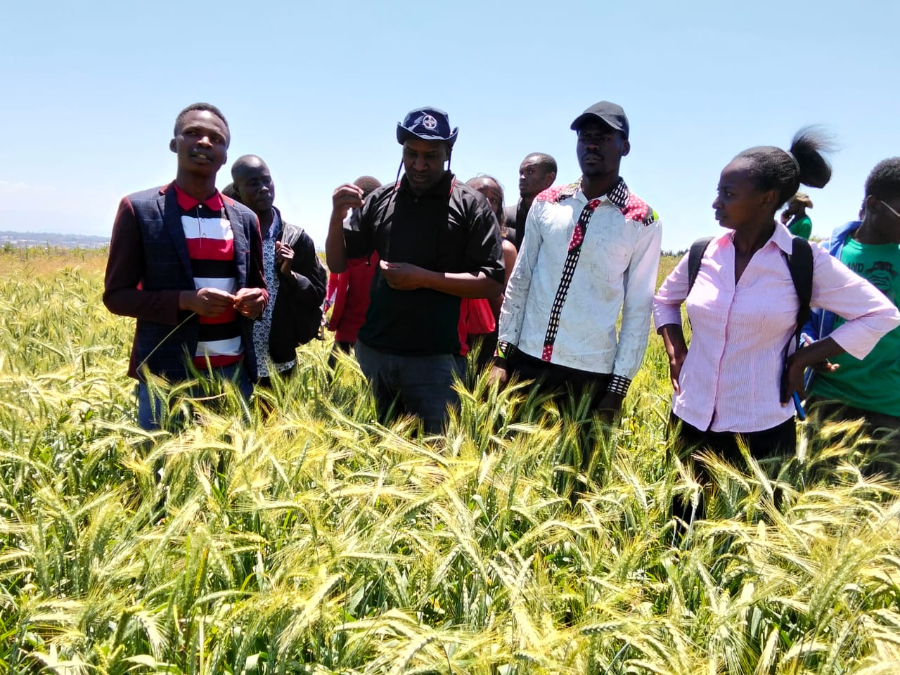 Agricultural Consultancy